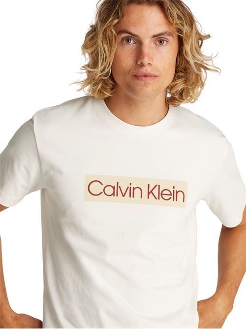J30J327472YAS BEIGE CALVIN KLEIN | J30J327472YAS BEIGE